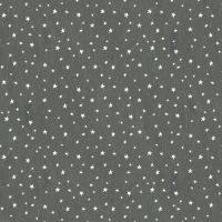 ttBOO-CD4989 PEBBLE